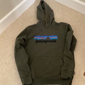 Patagonia hooded sweatshirt